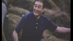 poster-12166-hsbc-hole-in-one-236x132