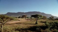 poster-12177-pepsi-max-oh-africa-236x132