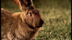 poster-12188-de-standaard-park-life-236x132