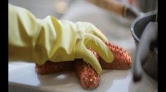 poster-12193-earth-choice-protection-environnement-don-t-torture-our-marine-life-236x132