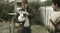 poster-12194-skittles-the-rabbit-236x132