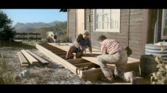 poster-12226-hornbach-home-improvement-superstores-cow-236x132