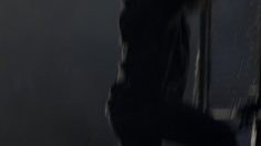 poster-12236-optus-wild-animals-236x132