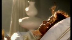 poster-1225-revlon-actrices-236x132