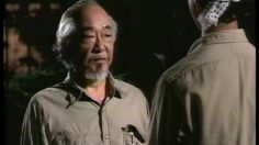 poster-1226-directv-satellite-television-pay-per-view-karate-kid-236x132