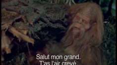 poster-12296-jack-link-s-beef-jerky-camp-fire-236x132