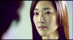 poster-12341-vitalon-mei-chao-the-amincissant-revenge-236x132