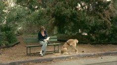 poster-12362-altoids-dark-chocolate-double-back-236x132