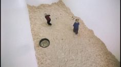 poster-12367-gearbox-racquetball-hamster-236x132