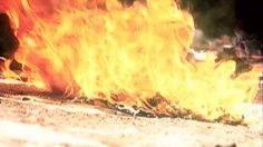 poster-12414-hi-magazine-riot-236x132