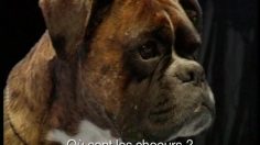 poster-12421-m-n-e-t-channel-audition-236x132