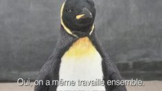 poster-12427-miller-lite-penguin-236x132