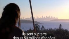 poster-12432-barons-biere-save-the-males-236x132