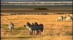 poster-12433-general-electric-ge-evan-almighty-casting-236x132