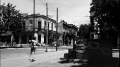 poster-12453-allan-gray-patience-236x132