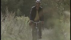 poster-12477-devk-insurance-bicycle-236x132