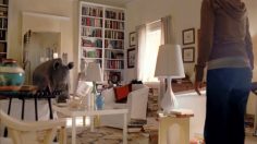 poster-12523-pedigree-adoption-drive-crazy-pets-236x132