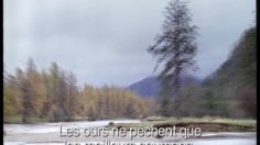 poster-12530-john-west-red-salmon-bear-236x132