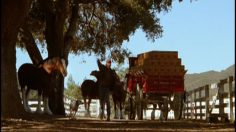 poster-12540-budweiser-show-off-236x132