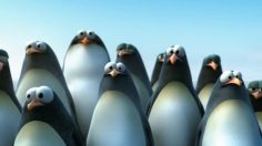 poster-12555-de-lijn-transports-publics-pingouins-236x132