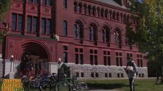 poster-12584-chad-kultgen-the-lie-girl-236x132