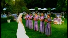 poster-1260-dr-pepper-diet-bridesmaids-236x132