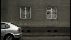 poster-12609-ikea-dog-236x132