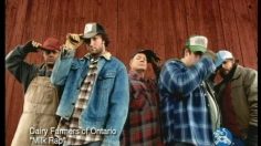 poster-1263-collective-du-lait-quality-milk-milk-rap-236x132