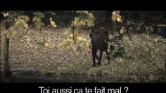 poster-12653-sympatex-vetement-isothermique-moths-236x132