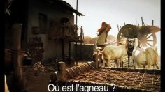 poster-12691-happydent-wave-elephant-236x132