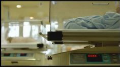 poster-12713-nike-fate-236x132