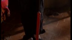 poster-12728-pages-jaunes-www-paginasdoradas-com-ar-poupee-gonflable-236x132