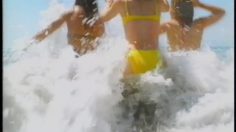 poster-12729-ruud-rye-shark-236x132