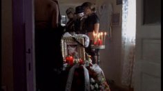 poster-12731-mtv-the-pig-236x132