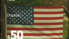 poster-12742-lancefinal-lancefinal-com-flag-236x132