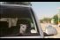 poster-12744-volkswagen-polo-dog-confidence-68x45