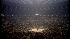 poster-1275-adidas-laila-ali-236x132