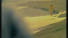 poster-12752-dr-pepper-diet-couple-sur-la-plage-236x132