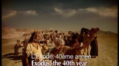 poster-12781-ituran-gps-moses-236x132