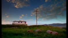 poster-12801-hbo-electricien-sadique-236x132