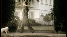 poster-12824-loto-dog-236x132