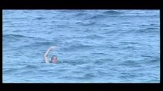 poster-12860-festival-de-films-sitges-sci-fi-fantasy-film-festival-shark-236x132