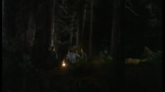 poster-12865-old-navy-from-desk-till-dawn-236x132