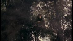 poster-12945-collective-du-lait-got-milk-witch-236x132