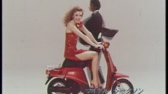 poster-12949-suzuki-love-michael-jackson-236x132