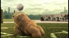 poster-12974-ford-ka-futbol-236x132