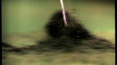 poster-1299-american-express-caddyshack-236x132