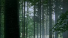 poster-13014-hiltl-restaurant-vegetarien-hunter-236x132