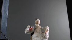 poster-13027-foster-farms-transformacion-236x132