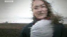 poster-13074-delvos-leaf-blowers-storm-236x132